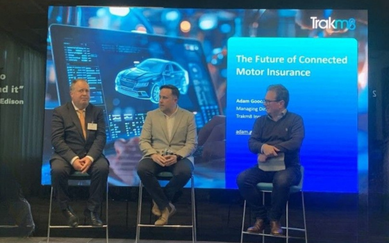 Untitled design (36)